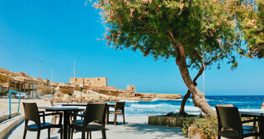 Malta restaurant with sea and large tree.