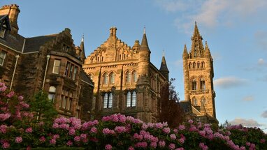 Part of the University of Glasgow with a bush of pink flowers.
