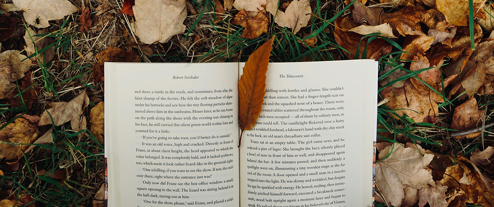 Open book resting on grass and dry autumn leaves, with a brown leaf placed between the pages — peaceful fall reading outdoors.