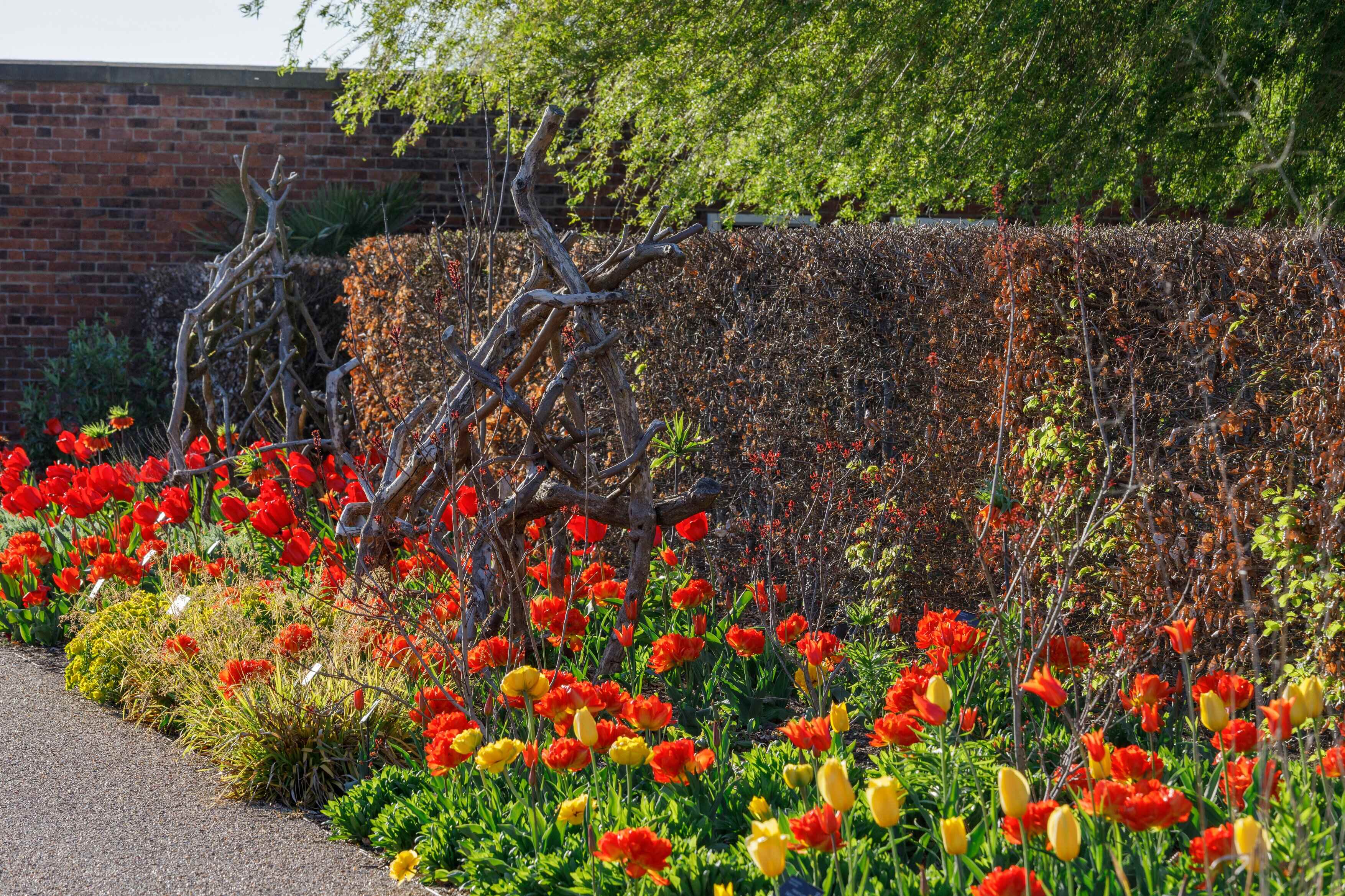 Garmer Rhs RHS Garden Bridgewater with an overnight stay
