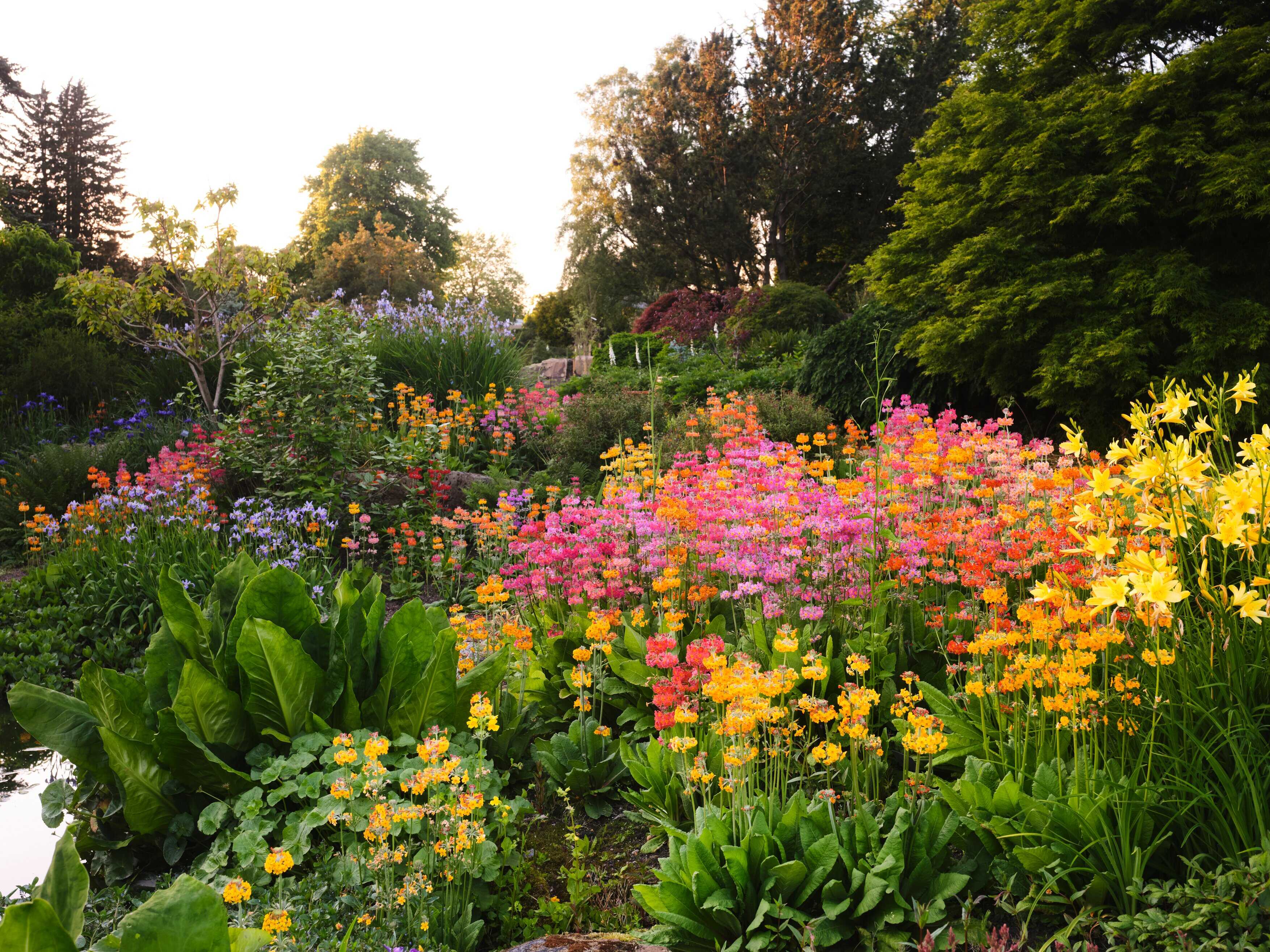 RHS Garden Harlow Carr