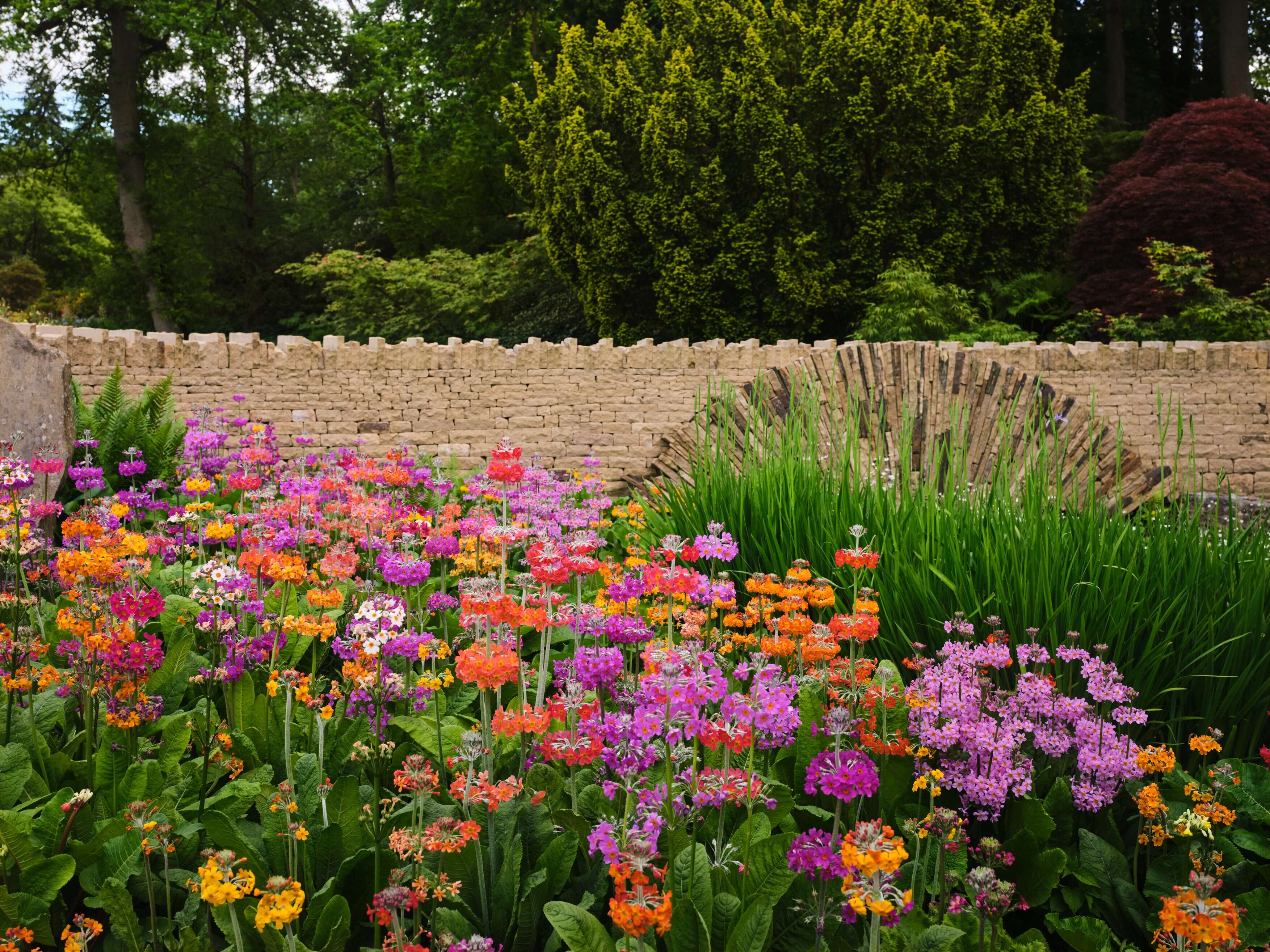 RHS Garden Harlow Carr