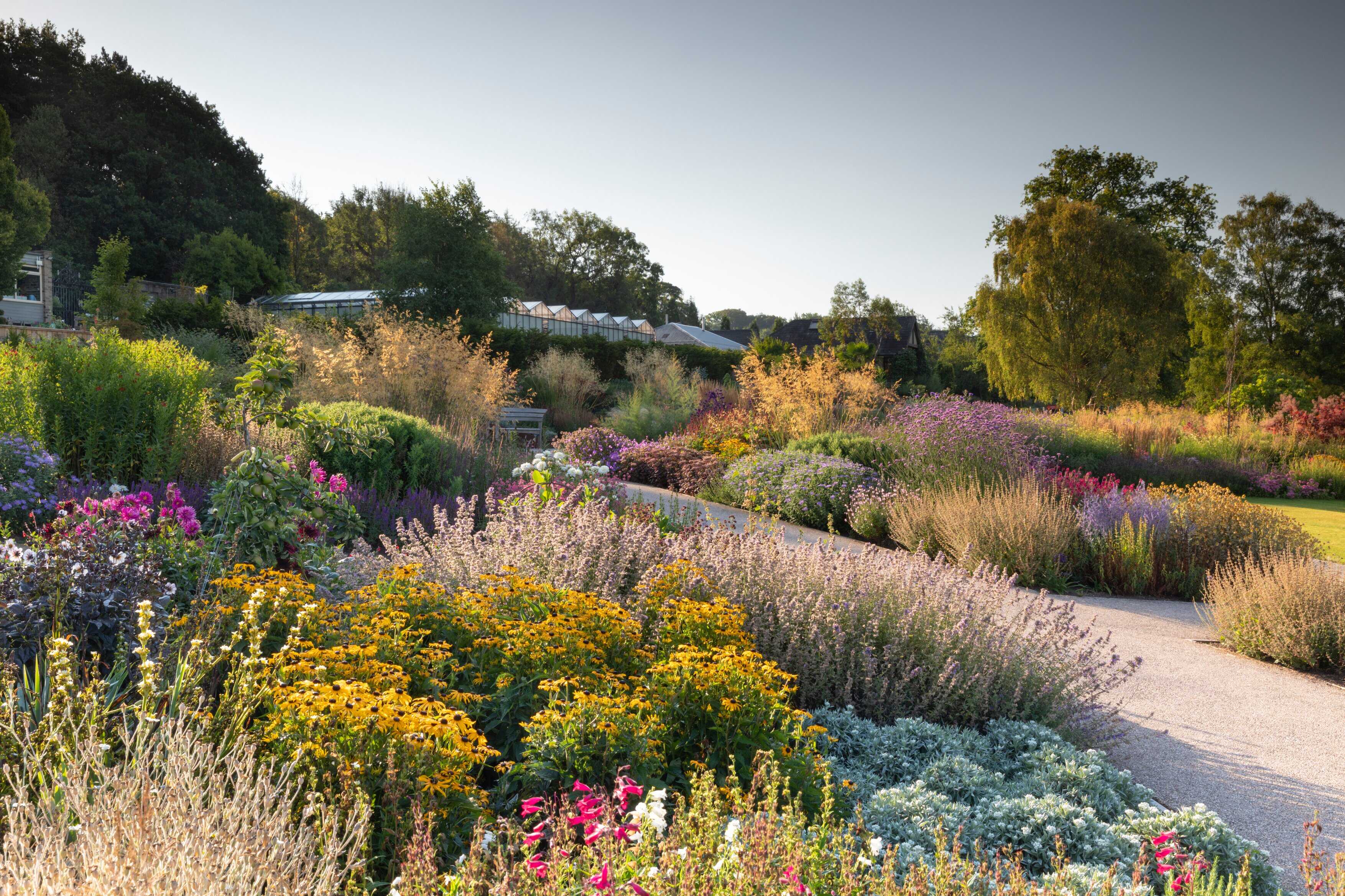 RHS Garden Harlow Carr