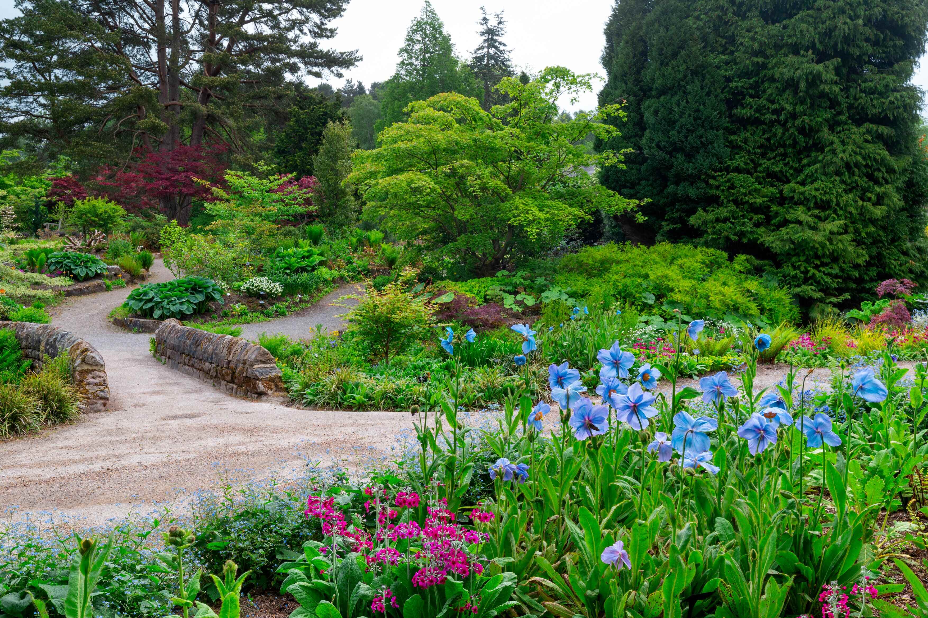 RHS Garden Harlow Carr