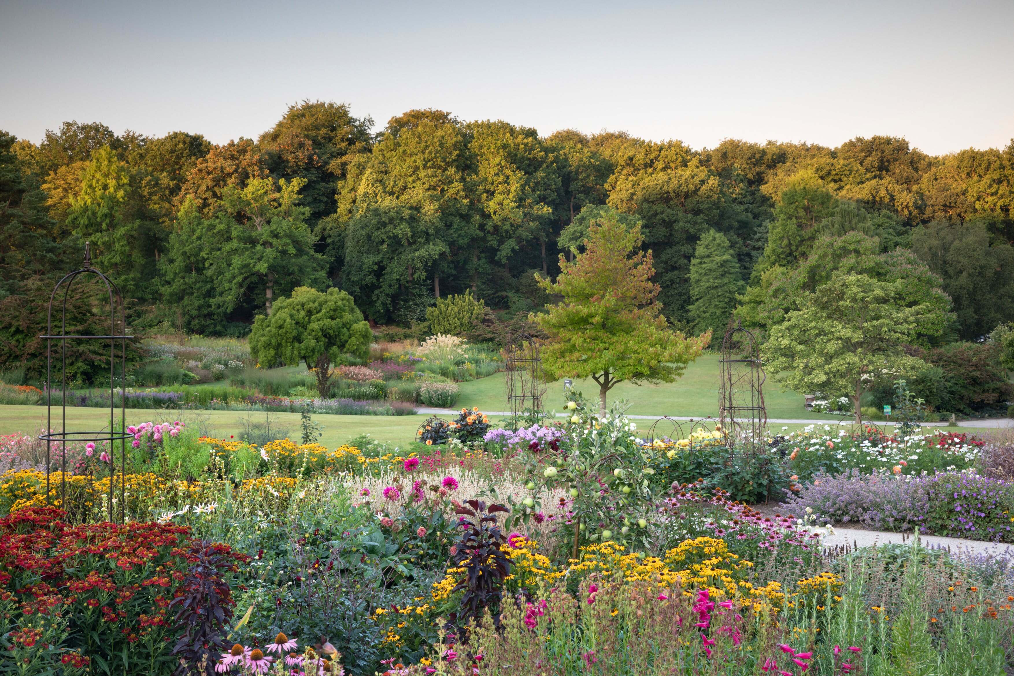 RHS Garden Harlow Carr