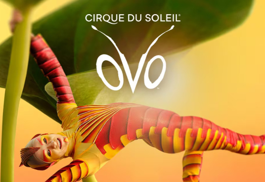 Cirque du Soleil: Ovo
