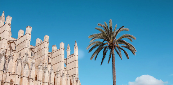 Palma Cathedral