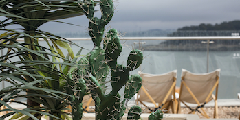 Where can you travel now?