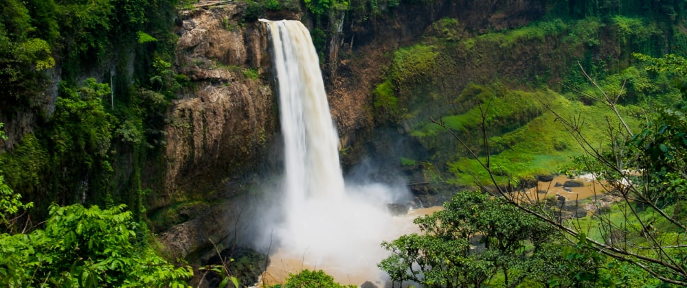 Cameroon Africa
