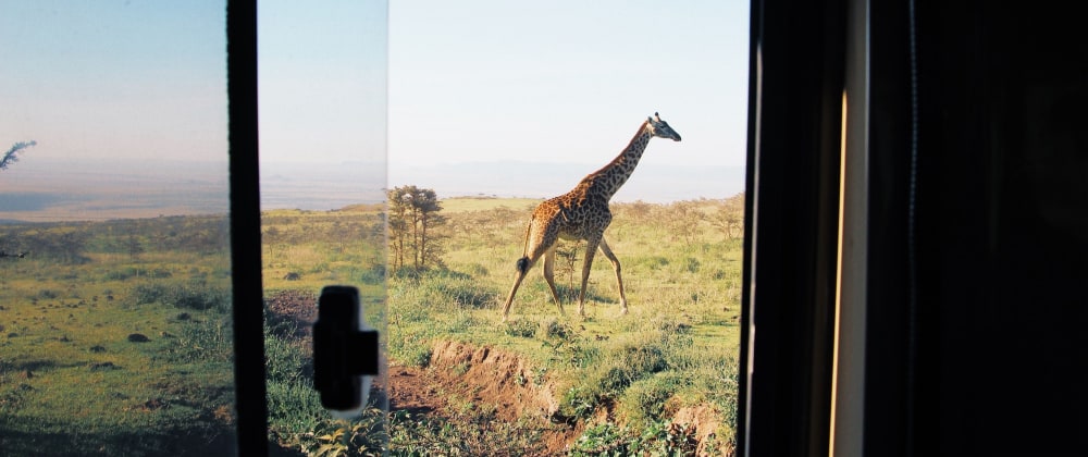 On Safari in Tanzania