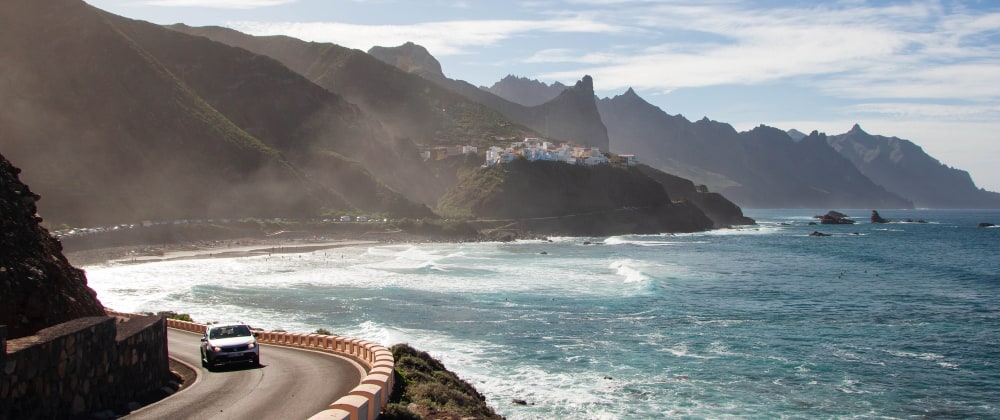 canaries