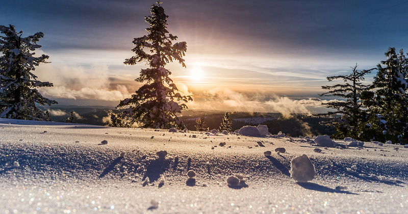 Snow-covered mountain landscape with tall trees and a glowing sunset casting long shadows — peaceful winter scene in nature.