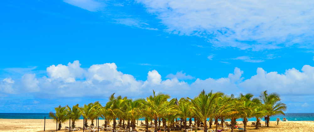 Palm trees and lounge chairs on a tropical beach under a bright blue sky — relaxing vacation scene on the island of Sal, Cape Verde.