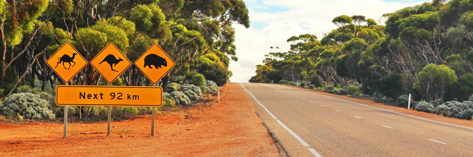 Roadside warning signs in the Australian outback alerting drivers to the presence of camels, kangaroos, and wombats over the next 92 kilometres. The signs are set against a red dirt shoulder and surrounded by eucalyptus trees under a partly cloudy sky.