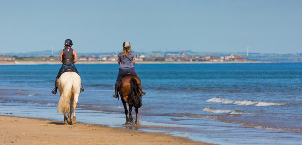 Horse Riding on the beach