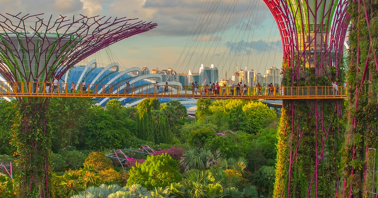 Visitors walking through Singapore’s Gardens by the Bay with towering Supertrees, sky bridge, and lush tropical greenery at sunset.