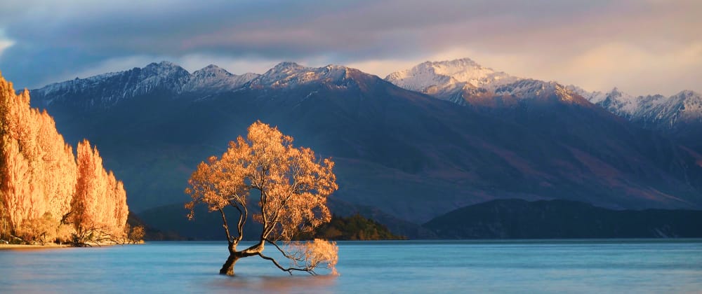 Golden autumn tree standing in a calm blue lake, framed by sunlit fall foliage and dramatic snow-capped mountains.