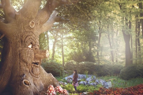 Efteling Theme Park