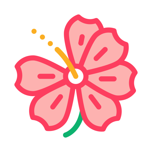 pink hibiscus flower