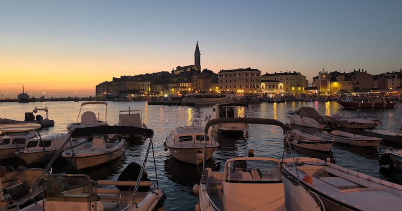 Lounging in the garden