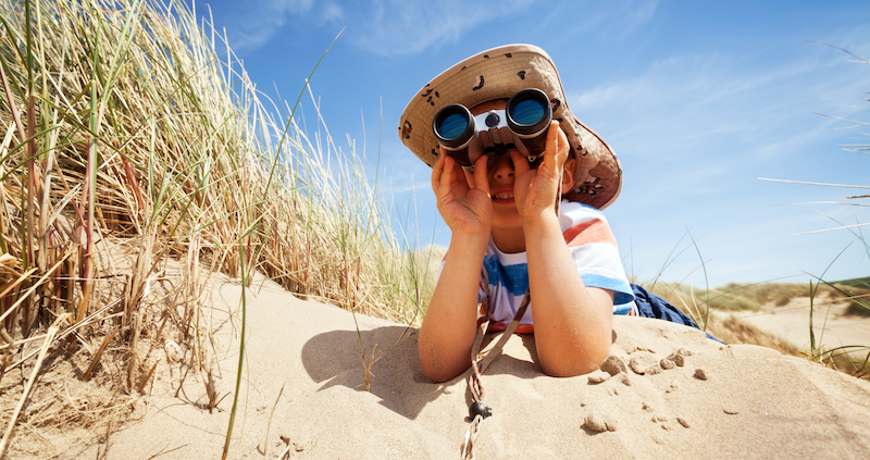 A group of people looking at a map planning a holiday