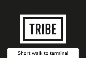 TRIBE logo